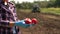 Farmer is holding a tomato on the background of a working tractor in the field.