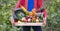 Farmer holding wooden Box full of Vegetables on the organic farm. Hands of a caucasian woman with a crate in the garden