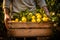 farmer holding wooden crate of lemons, picking lemons, harvest