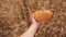 Farmer holds bread first person view. man holds a bread loaf in a wheat field. slow motion video. successful