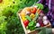 Farmer holds in hands wooden box with autumn crop of organic vegetables against backyard background