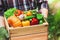 Farmer holds in hands wooden box with autumn crop of organic vegetables and roots against backyard background