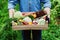 The farmer holds in his hands a wooden box with a crop of vegetables and harvest of organic root on the background of the garden.