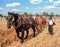 Farmer and Horses Ploughing Field in France