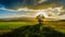 Farmer hut and tree on agricultural garden in countryside Thailand and light shines sunset