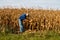 Farmer Inspecting Corn FIeld