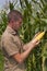 Farmer inspecting maize harvest