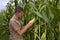 Farmer inspecting maize harvest