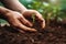 Farmer inspecting soil health plant. Generate Ai