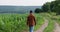 A farmer inspects a field of green corn. Estimation of future harvest