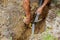 farmer installing drop irrigation system