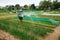 Farmer irrigating crops at a farm in an agricultural community in Hoi An, Vietnam