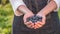 Farmer keeps a handful of blueberries - a healthy berry full of vitamins