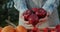 The farmer keeps a number of large red apples above the fruit counter. Goods from local farmers