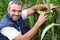 Farmer kneeling by crop