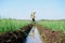 Farmer at Kretek Bantul Yogyakarta