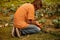 Farmer laying irrigation