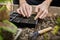 Farmer life. Gardener planting young seedlings of parsley in vegetable garden. Close up of man hands working in garden