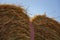 Farmer loads some hay bales on his tractor