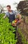 Farmer on local sustainable organic farm