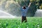 Farmer man pray sun worker check plantation technology hat sprinkler system water green cabbage field leaves owner