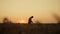 Farmer man silhouette examining wheat grain sunset farmland. Rural countryside