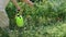 Farmer man spraying vegetables in the garden