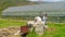 Farmer Man at Traditional mill for crushing plants, background greenhouse