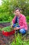 Farmer man transplanting tomato seedlings into open ground against green garden and country house. Spring work in kitchen-garden,