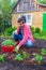 Farmer man transplanting tomato seedlings into open ground against green garden and country house. Spring work in kitchen-garden,