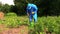 Farmer man in waterproof clothes prepare pesticides chemicals