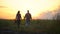 Farmer man and woman, farmers couple walking in field at sunset or sunrise. Carry tree seedling, watering can and shovel