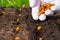 The farmer manually sows seeds on the soil close-up. Farmer hand planting seeds, selective focus.