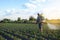 A farmer with a mist fogger sprayer sprays fungicide and pesticide on potato bushes. Protection of cultivated plants from insects