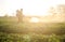 Farmer with a mist sprayer on a morning plantation. Protection and care. Use of industrial chemicals to protect crops from insects