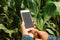 farmer with mobile phone in hands