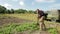 Farmer mows the grass.