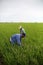 Farmer in a paddy field