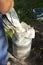 Farmer passes the milk through the strainer, the old way of cleaning milk from dirt