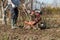 Farmer performing garden soil tillage with old poor cultivator tiller agricultural machine