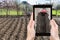 Farmer photographs the plowing of garden ground