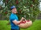 Farmer picking apples in a basket