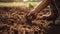 Farmer planting a seedling in the soil. Selective focus. nature. Generative AI