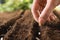 Farmer planting seeds into fertile soil, closeup. Gardening time