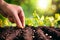 Farmer planting seeds in soil