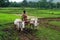 The farmer ploughing the agricultural land in a traditional way.