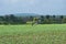 Farmer Ploughing the Soybean Field