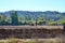 Farmer plowing field with horses