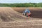 Farmer plowing field with tractor