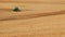 Farmer plows with his tractor on his farm for peanuts planting in the rural area